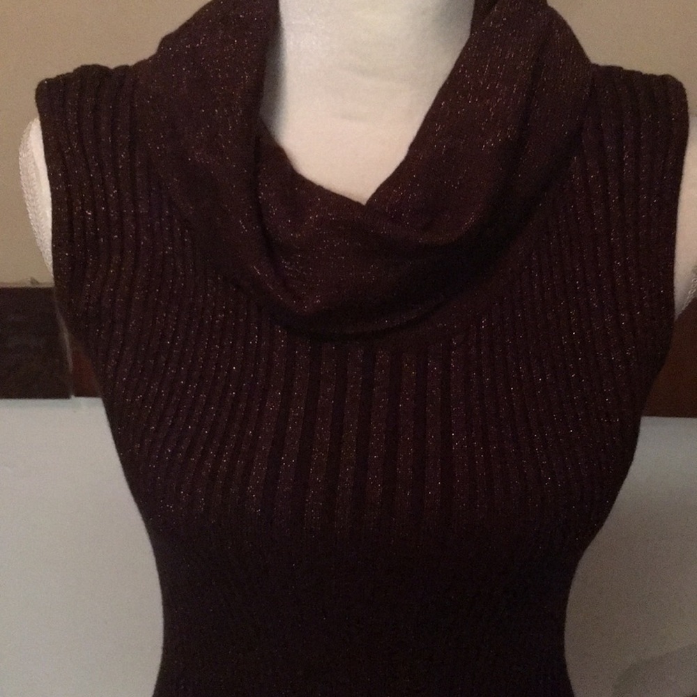 Women’s Joseph A Glitzy Sleeveless Turtleneck